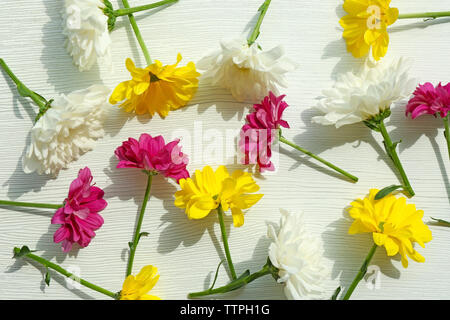 Bellissimi fiori sfondo Foto Stock