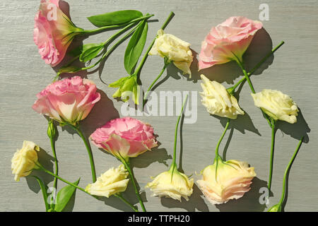 Bellissimi fiori sfondo Foto Stock