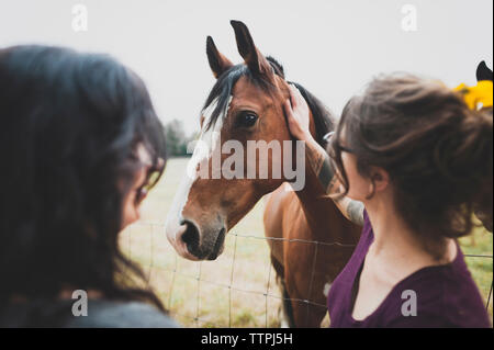 Amici di sesso femminile stroking cavallo mentre in piedi contro il cielo chiaro nel fienile Foto Stock