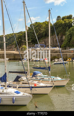 SAUNDERSFOOT, Pembrokeshire, Galles - Agosto 2018: Yachts schierate nel porto di Saundersfoot, West Wales. Foto Stock