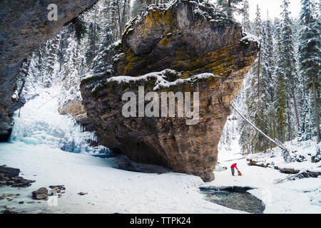 A metà distanza vista dell uomo con il Golden Retriever su strade coperte di neve campo nella foresta Foto Stock