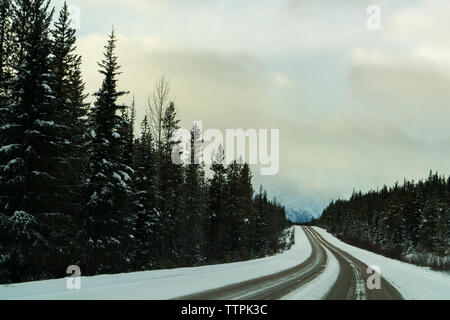 Vista panoramica della strada in mezzo gli alberi nelle foreste contro sky durante il periodo invernale Foto Stock