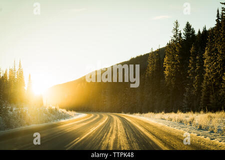 Vista panoramica della strada in mezzo di alberi in foresta in inverno durante il sunrise Foto Stock