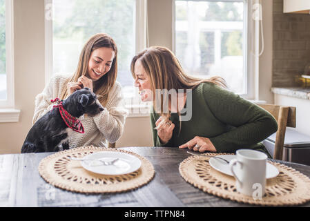 Famiglia multigenerazionale e piccolo cane mangiare pancake per colazione Foto Stock