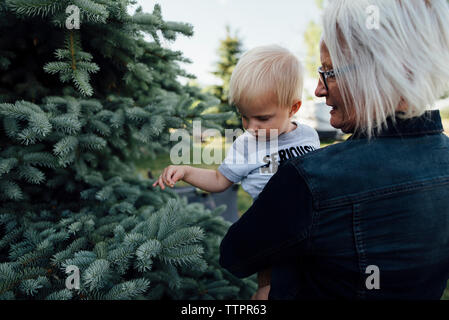 Vista posteriore della nonna nipote portante mentre in piedi da pini presso l'azienda Foto Stock