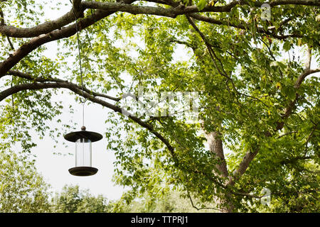 Svuotare bird feeder appeso da albero Foto Stock