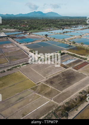 Vista aerea di piantagioni di sale Foto Stock