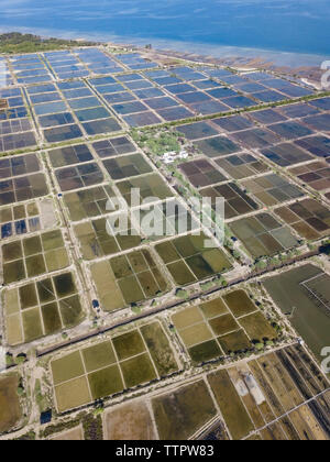 Vista aerea di piantagioni di sale Foto Stock