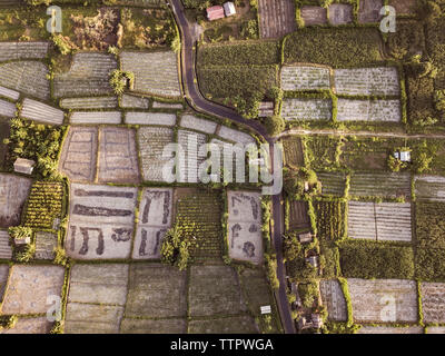 Vista aerea di campi agricoli in prossimità della strada Foto Stock