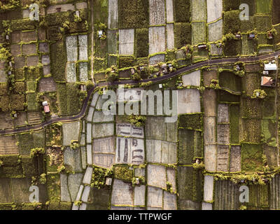 Vista aerea di campi agricoli in prossimità della strada Foto Stock