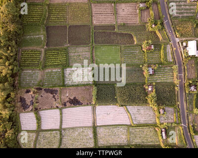 Vista aerea di campi agricoli in prossimità della strada Foto Stock