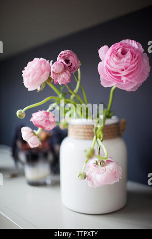 Close-up di rose rosa in vaso sul tavolo Foto Stock