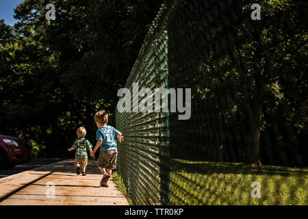 Vista posteriore dei fratelli camminando sul sentiero da recinzione Foto Stock