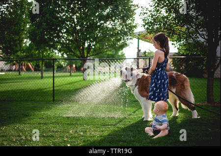 Suor spruzzare acqua sul cane la bocca mentre in piedi dal fratello a backyard Foto Stock