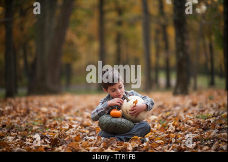 Lunghezza completa di boy holding zucche mentre è seduto sul campo al parco durante l'autunno Foto Stock