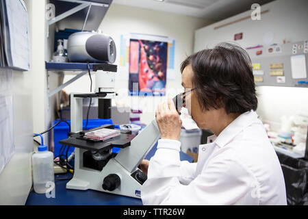 Vista laterale della femmina senior scientist usando microscopio in laboratorio Foto Stock