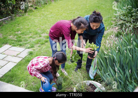 Elevato angolo di visione della madre e sorella di giardinaggio in cantiere Foto Stock