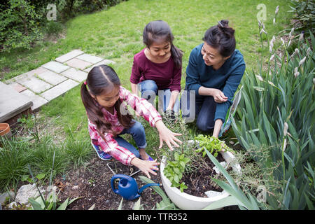 Elevato angolo di visione della famiglia giardinaggio in cantiere Foto Stock