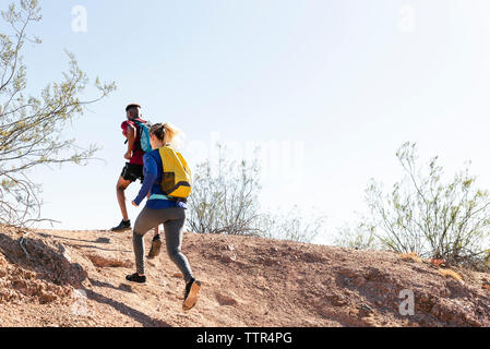 Basso angolo di visione degli escursionisti con zaini in esecuzione sulla collina contro il cielo chiaro durante la giornata di sole Foto Stock