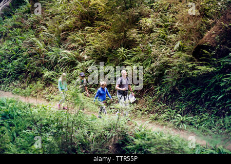 Angolo di alta vista di amici camminando sulla strada in mezzo di alberi Foto Stock