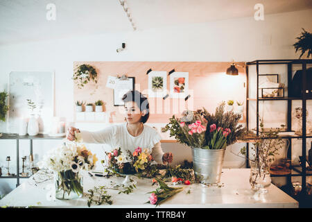 Fioraio disponendo dei fiori in vaso in negozio Foto Stock