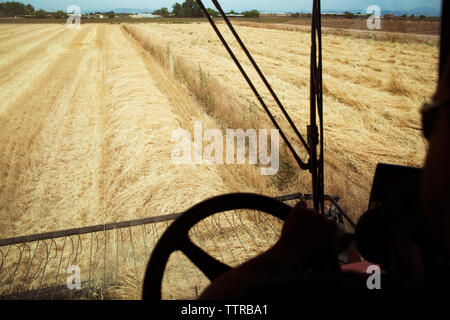 Immagine ritagliata di agricoltore la guida della mietitrebbia su campo di grano Foto Stock