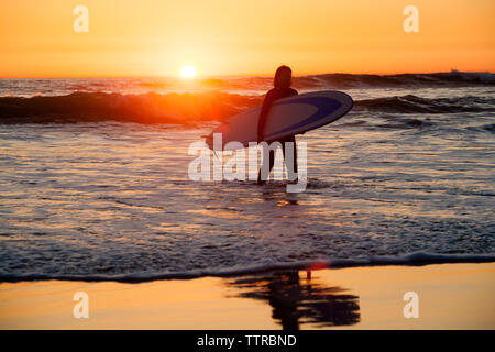 Donna che trasportano le tavole da surf mentre passeggiate sulla spiaggia durante il tramonto Foto Stock