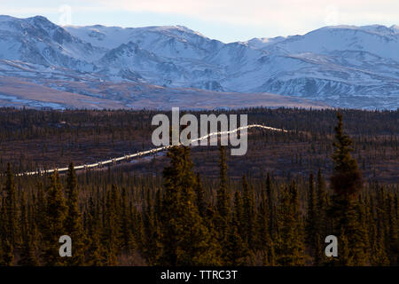 Angolo di Alta Vista della pipeline Trans-Alaskan tra alberi contro la montagna durante il periodo invernale Foto Stock