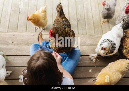 Vista aerea della ragazza che gioca con le galline in free range Foto Stock