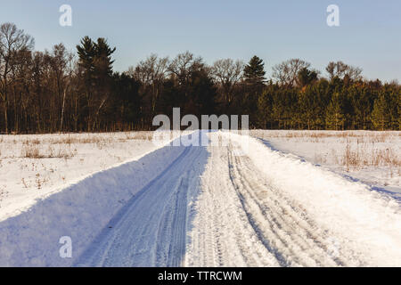 Coperta di neve strada che conduce verso gli alberi contro il cielo chiaro nella foresta Foto Stock