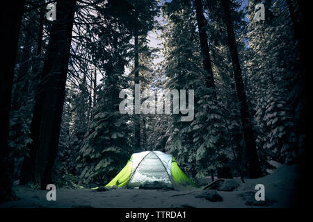 Tenda illuminata sulla coperta di neve campo al Parco Nazionale di Yosemite Foto Stock