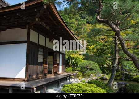 Casa in mezzo di alberi in foresta Foto Stock