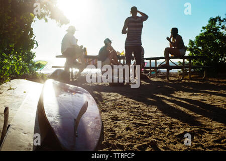 Gli amici sorseggiando presso la spiaggia sulla giornata di sole Foto Stock