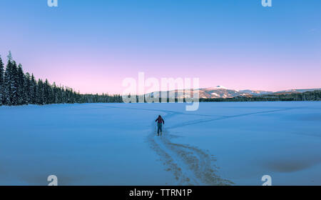 Vista posteriore dello sciatore femmina passeggiate sulla neve campo coperto Foto Stock