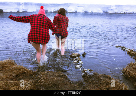 Vista posteriore di amiche godendo nel lago durante il periodo invernale Foto Stock