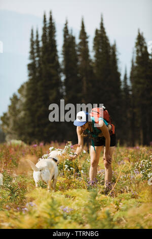 Donna zaino porta petting cane mentre si sta in piedi sul campo Foto Stock