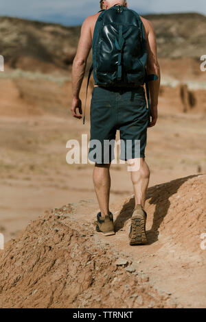 Vista posteriore di un escursionista con zaino ad esplorare il deserto durante la giornata di sole Foto Stock