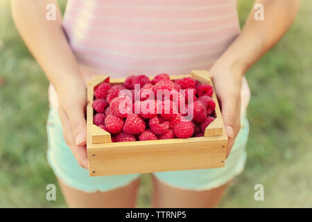Donna che mantiene una scatola di legno con lamponi freschi per esterno Foto Stock