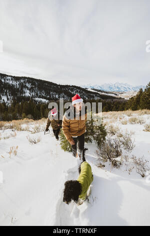 Giovane Uomo con cane trascina albero di natale si trova su una collina nel Wyoming Foto Stock