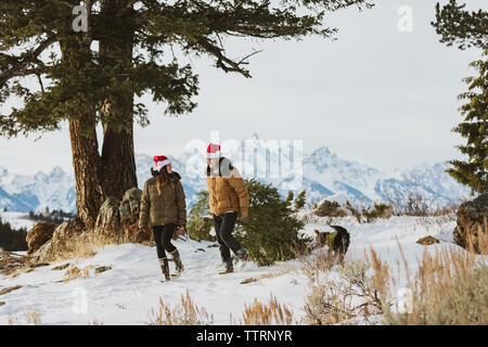 Paio taglia verso il basso l'albero di Natale in tetons con il cane Foto Stock