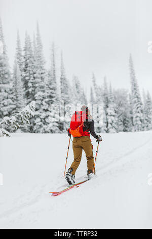 Lone sciatore pelli attraverso un snowfield in un innevato paesaggio del wyoming Foto Stock