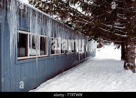 Ghiaccioli appeso sul tetto di un edificio di tree durante il periodo invernale Foto Stock