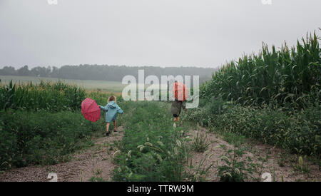 Vista posteriore dei fratelli che porta ombrelli mentre si cammina sul campo contro il cielo durante la stagione delle piogge Foto Stock