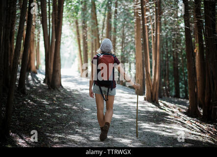 Vista posteriore di un escursionista femmina con zaino in piedi sulla strada in mezzo di alberi in foresta Foto Stock