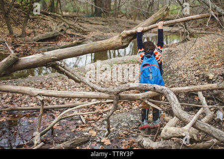 Vista posteriore del ragazzo con zaino appeso su albero caduto nella foresta Foto Stock