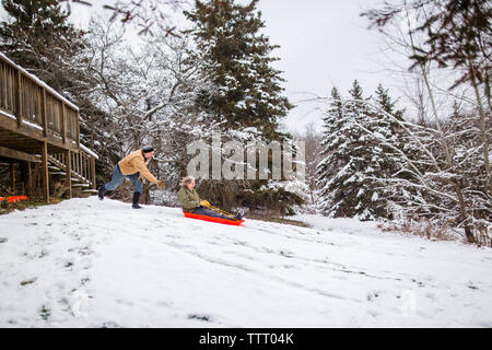 Un marito spinge la sua moglie ridere su una slitta nel loro back yard Foto Stock