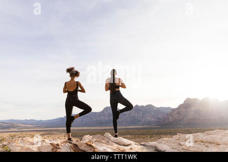 Vista posteriore di amiche meditando mentre permanente sulla formazione di roccia contro sky Foto Stock