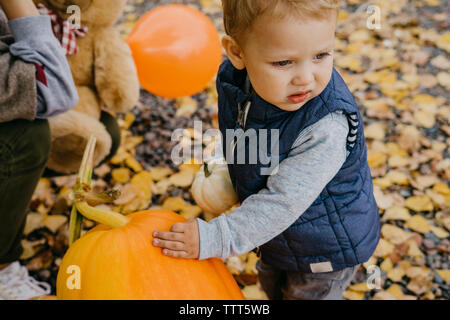 Angolo di Alta Vista del simpatico baby boy con la zucca che guarda lontano mentre in piedi su foglie di autunno nel parco Foto Stock