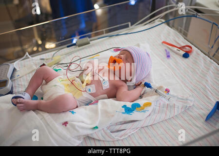 Ritratto di carino neonato Bambino giacente nella mangiatoia a ospedale Foto Stock