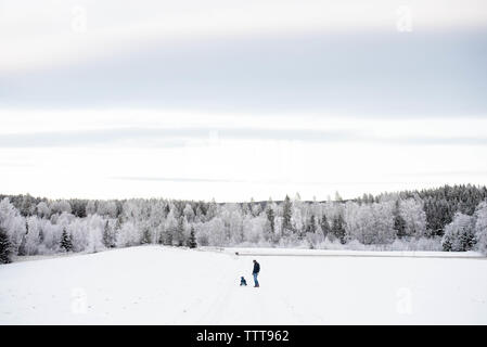 Padre figlio camminando in slittino snow white forest Winter Wonderland Foto Stock